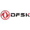 dfsk logo